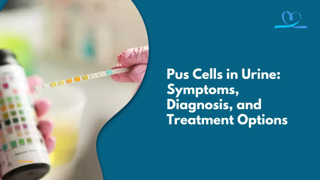 pus cells in urine,
why do we get pus cells in urine